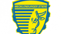 Logo der Mecklenburger Stiere Schwerin
