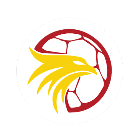 Logo der HSG Bieberau/Modau